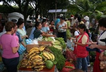 Los mercados campesinos son una actividad que espera repetirse en diferentes partes de la región Los mercados campesinos son una tradición en Yopal
