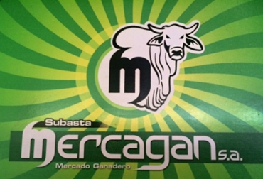 La empresa estructuró eventos los días lunes, martes y miércoles para la venta de ganado y especies menores. Foto: Cortesía. Mercagán