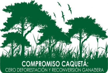 El proyecto, liderado por 230 ganaderos, tiene como objetivo la reconversión ganadera amigable con el medio ambiente. Foto: Universidad de la Salle. Pacto Caquetá