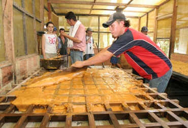 Mejorar la cadena productiva de la panela es el objetivo de la Secretaría de Agricultura de Cundinamarca. Foto Gobernación de Cundinamarca. Paneleros de Cundinamarca.jpg