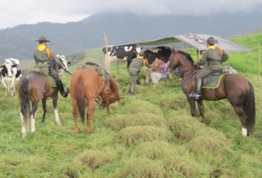 Patrullaje en las fincas con caballos es una estrategia para brindarles seguridad a los ganaderos. Foto: Policía Nacional. Patrullaje rural en Colombia
