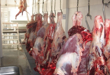 La planta permitirá la comercialización de carne a todo el país. Foto: Alcaldía de Concepción, Antioquia. Planta de Sacrificio en Antioquia.