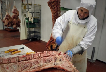 Aunque en el departamento hay proyectos para plantas de ovinos y caprinos, no se han realizado acciones para el sector bovino. Foto: CONtexto Ganadero. Planta de beneficio animal