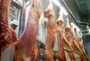 Para los ganaderos es preocupante la medida adoptada por el Invima, porque genera que se sacrifique de forma clandestina. Foto: CONtexto Ganadero. Planta de sacrificio