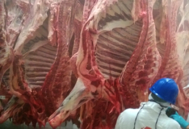 Las actividades en Ceagrodex volvieron a su normalidad, tras el acuerdo pactado entre las partes. Foto: CONtexto Ganadero. Planta de sacrificio