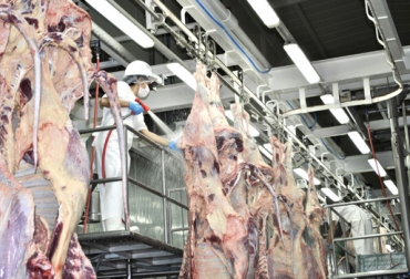 Municipios como Tona, Lebrija, Berlín y el área metropolitana de Bucaramanga ya están comercializando los productos. Foto: Frigorífico Frío Río. Frigorífico Frío Río
