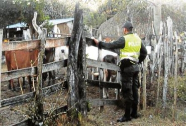 Los ganaderos de La Guajira ven en este trabajo una solución para la seguridad de la región. Foto: Policía Nacional. Policía en La Guajira y Magdalena