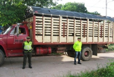 En operativos contra el abigeato, la fuerza pública incautó 55 semovientes. Foto: Policía Nacional. Abigeato en Cesar