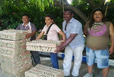 El programa de Patios Productivos lo adelanta la Umata de Bolívar. Foto: Alcaldía de Cartagena. Más de 120 familias cartageneras beneficiadas con proyecto avícola.