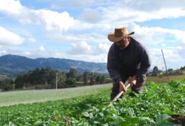 Los campesinos que sufrieron por la ola invernal de 2010 y 2011, recibirán ayudas del Gobierno. Foto: Gobernación de Cundinamarca. Campesinos en Cundinamarca.