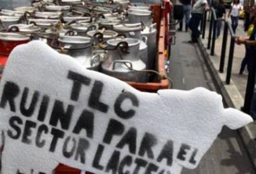 Aproximadamente 350 mil familias campesinas se verán afectadas con la entrada en vigencia del TLC. Foto: CONtexto Ganadero. Sector lácteo de Colombia en alerta frente a los TLC