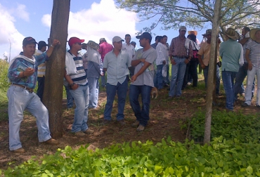 Este proyecto empezó en junio de 2012 y durará 3 años. El objetivo es ampliar la oferta forrajera para el ganado de la región. Foto: Verónica Mahecha Frasser Bancos mixtos de forraje
