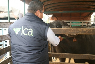 Los 2 nuevos puestos van a estar ubicados en el corregimiento del Caracol y el Centro Poblado de La Esmeralda. Foto: ICA Puestos de Control del ICA
