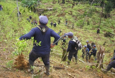 Por ahora, los campesinos mantienen se oponen al proceso de erradicación manual que adelanta el Ministerio de Defensa en aquellas zonas con cultivos de coca. Foto: Gobernación de Putumayo. Cultivos ilícitos en Putumayo