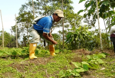 Las iniciativas de tipo rural se han convertido en prioridad para autoridades locales y habitantes. Foto: Gobernación de Risaralda Productores agropecuarios en Risaralda
