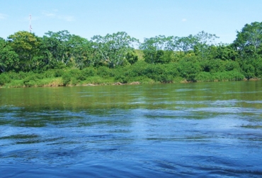 Por cuenta del cultivo de coca, San Vicente del Caguán se ha visto seriamente afectado en materia de deforestación. Foto: Alcaldía de San Vicente del Caguán. reforestación en Caquetá