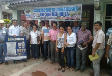 La asociatividad entre pequeños productores se considera como la mejor opción para la permanencia del sector en esta región. Foto: Jorge García Tamayo. Asociación de Ganaderos del Sur de Huila, Asagah