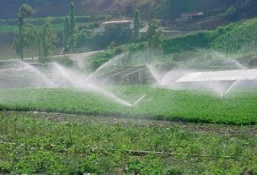 El proyecto de “Golondrinas”, beneficiaría cerca de 10.700 hectáreas. Foto: Gobernación del Tolima. El proyecto de “Golondrinas”, beneficiaría cerca de 10.700 hectáreas. Foto: Gobernación del Tolima.