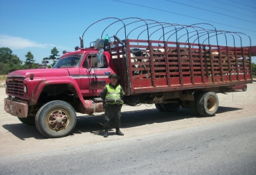 Las autoridades piden a los productores que denuncien estos hechos para buscar encontrar soluciones. Foto: Gobernación del Cesar. abigeato en colombia