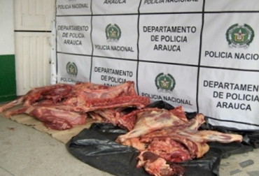 De acuerdo con la Secretaría de Hacienda de Cúcuta, el 90 % de la carne consumida en el municipio es de dudosa procedencia. Foto: Policía Nacional. sacrificio clandestino de bovinos