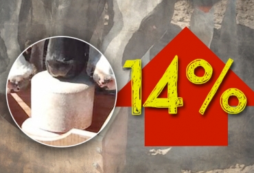 Los vendedores del producto sostienen que el incremento se debe al alza del dólar. Foto: CONtexto Ganadero. Sal para ganado aumentó de precio
