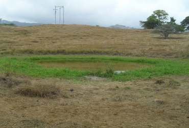 La conservación de forrajes será uno de los temas tratados en estas 15 capacitaciones. Foto: CONtexto Ganadero. Conservación de forrajes.