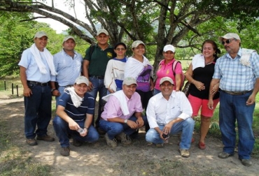 Ganaderos de Honda podrán capacitarse para conservar forrajes en sus hatos. Foto: CONtexto Ganadero. Forrajes para ganado.