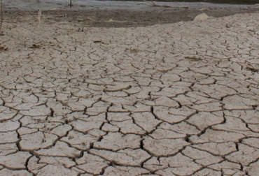 En La Guajira no llueve hace 9 meses, miles de reses han muerto y e teme lo peor con El Niño. Foto: CONtexto Ganadero. Sequía en Colombia