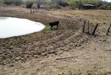 Los pozos que suministran el agua para las reses se están secando en Atlántico. Foto: CONtexto Ganadero. Ganaderos de Atlántico y Magdalena sequía