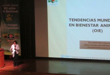 Siete conferencistas internacionales y 10 nacionales participaron en la primera versión del evento. Foto: Unversidad CES. Simposio Internacional de Bienestar Animal
