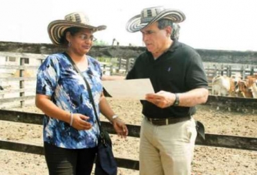 Fue el alcalde, Jairo Fernández Quessep, quien hizo entrega de las reses a los productores. Foto tomada de elmeridianodesucre.com.co Mejoramiento genéntico en Sincelejo