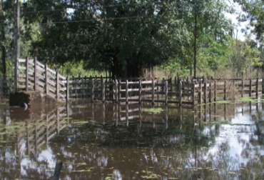 El boquete en Santa Anita, ha afectado diversos predios en el sur de Sucre. Foto: Archivo El boquete en Santa Anita, ha afectado diversos predios en el sur de Sucre. Foto: Archivo.