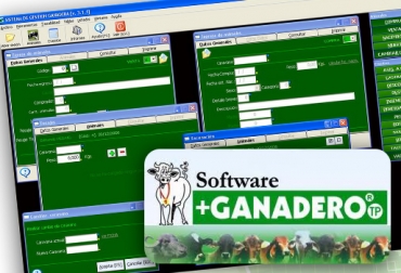 El Software Ganadero le permite a quien lo implementa hacer una completa radiografía de lo que ocurrió o está ocurriendo en su hato. Foto: CONtexto Ganadero. Software ganadero