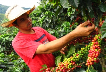 Este beneficio se da con el compromiso de que los caficultores detengan las protestas del próximo 25 de febrero. Foto: Alcaldía municipal de Teruel. Caficultores en Colombia.jpg