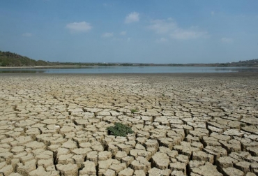 Foto tomada el 31 de julio de 2014 muestra la sequía que afecta a la costa Caribe colombiana. El Lago del Cisne, en el norte de Colombia, vive una situación crítica por la disminución de sus aguas. Foto: AFP / Eitan Abramovich. Sequía en Colombia