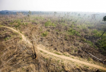 Foto aérea del 29 de noviembre 2009 muestra un sector de la selva amazónica, en el estado de Pará, al norte de Brasil, deforestada ilegalmente. Foto: AFP/Archivos Antonio Scorza. cambio climático amazonas