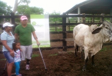 Jamer Yamit Pico Vidal, junto a su esposa e hija, reciben la vaca entregada por Fundagán. Foto: CONtexto Ganadero. Vaca por la paz