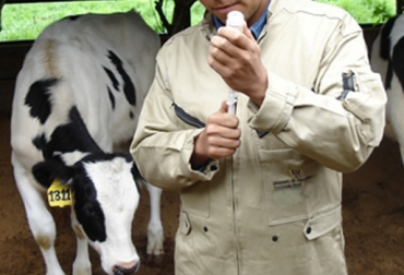 Con este proceso, los vacunadores están mejor capacitados y los ganaderos seguros de la calidad del proceso que se realiza en sus predios. Foto: FAO. certificación a vacunadores