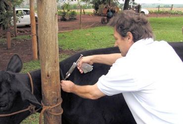 En total, 1.200 dosis se han impuesto en los corregimientos de La Arena, La Chivera y La Peñata. Foto: CVP. En total, 1.200 dosis se han impuesto en los corregimientos de La Arena, La Chivera y La Peñata. Foto: CVP.