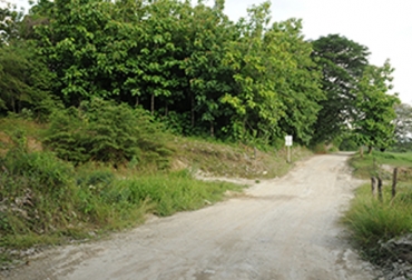 Las vías de Caracolí - San José del Nús y Virginias – Marsella serán intevenidas. Foto: Gobernación de Antioquia. Vías de Antioquia