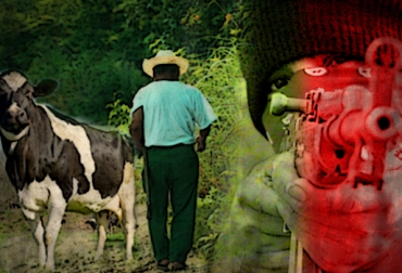 La inseguridad obligó a este productor a liquidar su finca y buscar oportunidades distintas. Foto: CONtexto ganadero. Inseguridad en Colombia