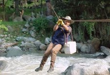 Diego Ríos, vacunador de miles de bovinos en todo el territorio nacional Diego Ríos, vacunador de miles de bovinos en todo el territorio nacional