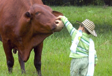 Nicolás, de 10 años en este momento, comentó que cuando tenga 30 años espera ser médico veterinario. Foto: Fedegán. Nicolás Ospina Velásquez, ganadero 10 años
