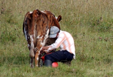 La fundación Bosque Nativo El Hatillo es un ejemplo de que la ganadería contribuye al cuidado del medio ambiente. Foto: Jorge La Rotta Fundación Bosque Nativo El Hatillo, Suesca, Cundinamarca, Buenas Prácticas Ganaderas, Conciliación ganadería y páramo, caminatas ecológicas, ganadería de leche, camping, finca ecológica en Suesca, avistamiento de aves, plantas medicinales, protección de bosques, Cooperativa Integral Agropecuaria, Cooagrolas, CONtexto ganadero, ganaderos Colombia