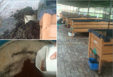 Una egresada del SENA, una empresa y un ganadero le demuestran a los productores cómo ser más rentables. Foto: CONtexto ganadero. tipos de compostaje ganaderia