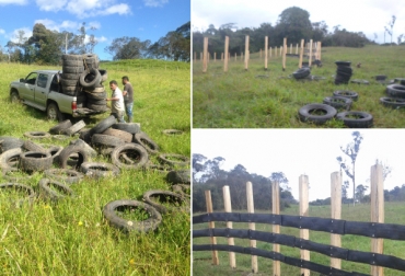 La empresa ganadera agroecológica Tierra Buena busca ofrecer un producto responsable con el medio ambiente. Foto: Empresa Tierra Buena Ganadería agroecológica, ganadería ecológica, empresa ganadera agroecológica Tierra Buena, producto con valor agregado, producción de leche ecológica, Pacho, Cundinamarca, Empresa Tierra Buena, ganadería rentable ecológica, ganadería en Cundinamarca responsable con el medio ambiente, CONtexto ganadero, ganaderos Colombia