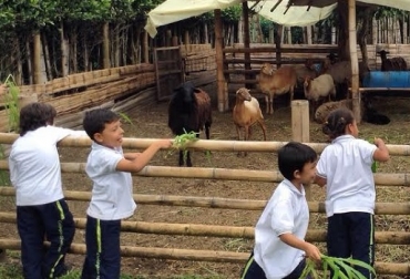 El conocimiento de la familia Aristizábal Gómez viene siendo replicado entre los niños de la región. Foto: Cortesía. Granja Ecológica Agroindustrial La Esperanza, Agrosol, Inbionova