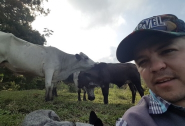 Giraldo Villegas tiene en su predio bovinos BON, Romosinuano y Hartón del Valle. Foto: Cortesía. ganado criollo, razas criollas, ganado criollo en colombia, razas criollas colombianas, ganadería colombia, alejandro giraldo villegas, beneficios del ganado criollo, diego castrillón franco, contexto ganadero, ganadería colombia