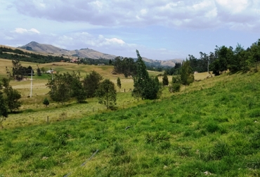 La finca La Estancia de Germán Barriga es la que más se conserva en la región por la gran cantidad de árboles que la protegen. Foto: Cortesía Finca ganadera árboles, finca ganadera con más árboles, finca ganadera en Suesca con más árboles, ganadero Suesca con finca árboles, finca La Estancia, Asociación Lechera y Agropecuaria de Suesca, Asolac, finca récord árboles Suesca Cundinamarca, CONtexto ganadero, ganaderos colombia