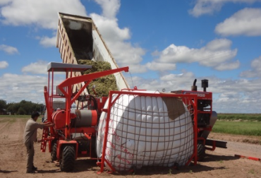 Tenga en cuenta las siguientes recomendaciones a la hora de ensilar su maíz. Foto: INTA. Ensilado, silos, silos de maíz, ensilar maíz, uso del maíz en ganadería, alimento para el ganado, pienso para el ganado, concentrado para el ganado, ensilaje de maíz, silos con poca agua, inta, contexto ganadero, ganadería colombia, noticias ganaderas, noticias ganaderas colombia, contexto ganadero
